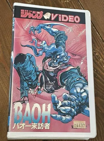 DVD 미출시 단종 VHS 레어 비디오 점프 VIDEO 바오 방문자