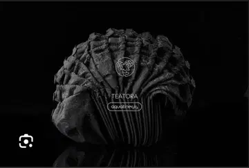 TEATORA KIJIMATAKAYUKI CAP 블랙