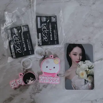 aespa 윈터 키링 트레이딩 카드 세트