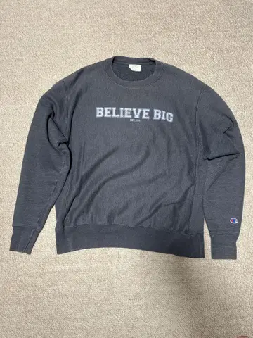 Champion Reverse Weave BELIEVE BIG 00s