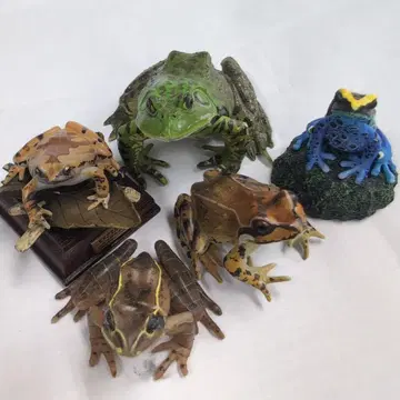 가챠 캡슐 개구리 피규어 5개 세트