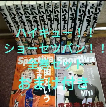 하이큐!! 소설판!! 전권 세트 + Sportiva 덤 포함
