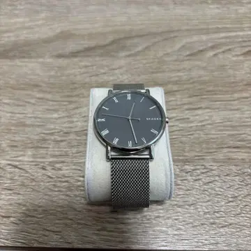 SKAGEN 그레이 아날로그 손목시계