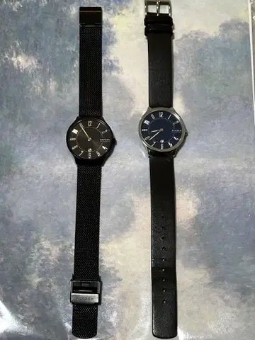 skagen 여성용 손목시계 2개 세트