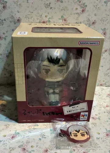 하이큐 룩업 키타 신스케 이나리자키 앞머리 클립 앞머리 핑