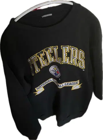 피츠버그 스틸러스