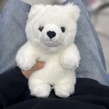 수족관 구매 화이트 곰 봉제 인형