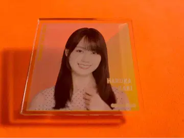 카키 하루카 노기자카46 5000엔 구매 B상 굿즈 개별 아크릴 배지