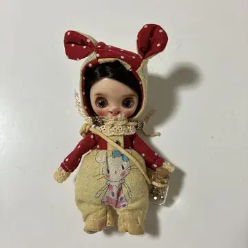 미니 브라이스 커스텀