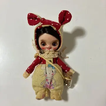 미니 브라이스 커스텀