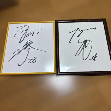 전 한신 타이거즈 요코야마 유야 오가타 료스케 친필 사인