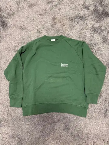 프레시서비스 VIBTEX 맨투맨 L 사이즈 그린