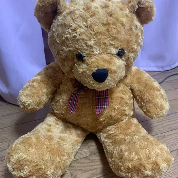 곰돌이 봉제 인형 약 45cm