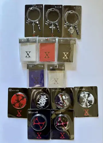 X 백참 러기지 택 캔 거울 세트