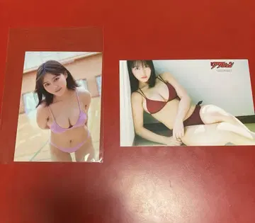 다나카 미쿠 세븐넷 특전 생사진, 엽서 세트