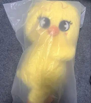 Straykids POPUPcelebrate SKZOO BAG 포가리