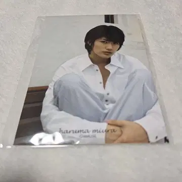 공식 브로마이드 미우라 하루마 씨