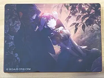 프로세카 아사히나 마후유 노블 아트