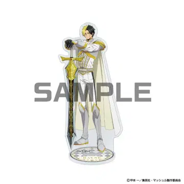 매쉬루 Mushle 레인 에임즈 점페스 2025