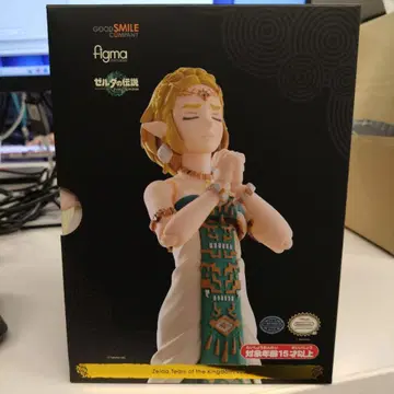 figma 젤다의 전설 티어스 오브 더 킹덤 젤다