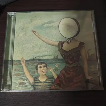 In the Aeroplane Over the Sea