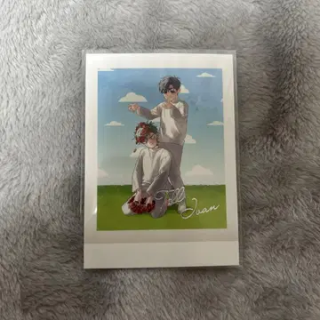 ALIENSTAGE 파샤코레 이반 티르 금박