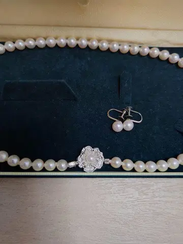 에스테르 진주 목걸이와 귀걸이 세트