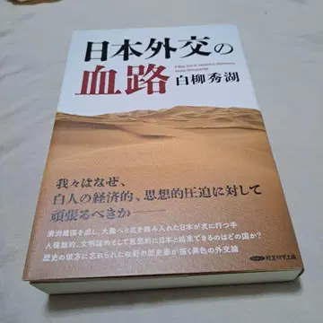 일본 외교의 혈로, 백류영호