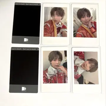 팬더드래곤 팟치 하피카