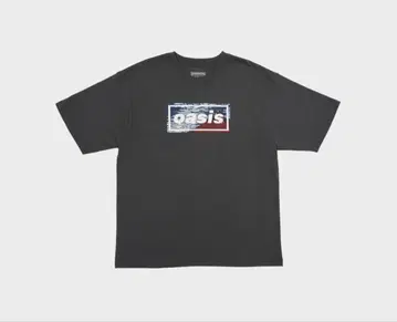 T셔츠 후지 [일본 한정판] XL