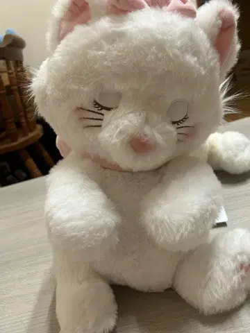 올챙이 캣 마리 봉제 인형