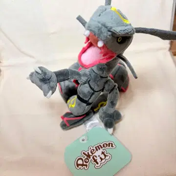 포켓몬 fit 색이 다른 레쿠자