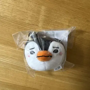 2PM 준호 펭귄 백참