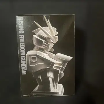 RISING FREEDOM GUNDAM 피규어