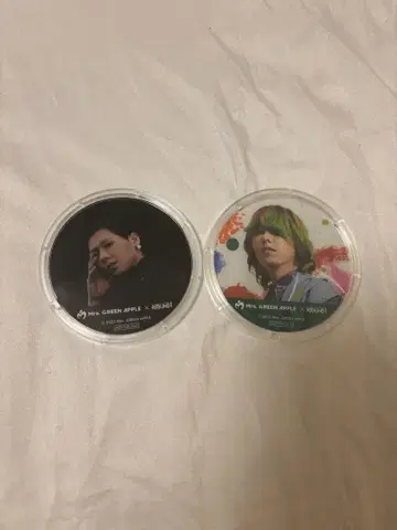 Mrs. GREEN APPLE 후지사와 료카