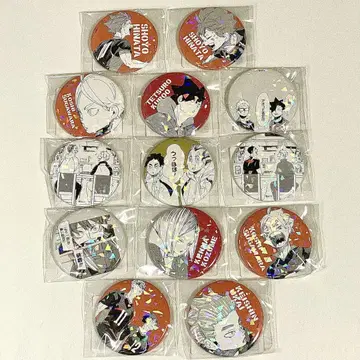 [하이큐] 올스타 캔뱃지 쓰레기장의 결전 Firsthalf 13점