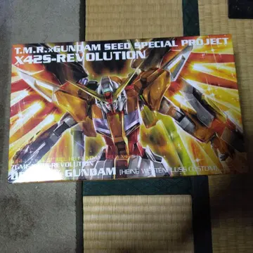 HG X425-REVOLUTION DESTINY GUNDAM