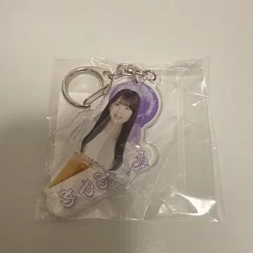 개별 아이스 키링 츠츠이 아야메