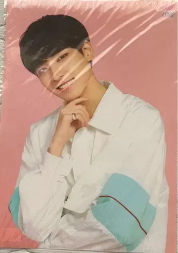 SEVENTEEN 세부치 원우 클리어 포스터 세트 HANA SVT