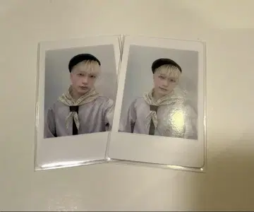 24 팬더 드래곤 파라곤 하피카 폴라로이드 요우타