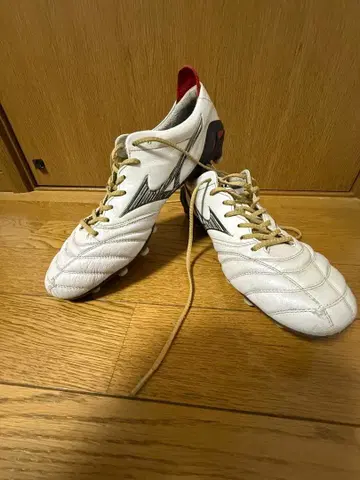 미즈노 모렐리아 neo 4