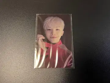 seventeen happy burstday withmuu 라키드로 우지