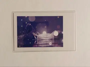 이레이스 실사 폴라로이드 쇼토군