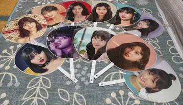 TWICE 모모 부채