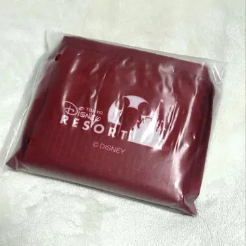 디즈니 후드 박스 패턴 쇼핑백 3