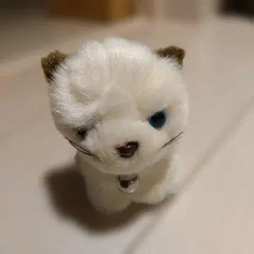 죽순 봉제 인형 고양이 새끼 고양이 샤미 종 방울 쇼와 레트로