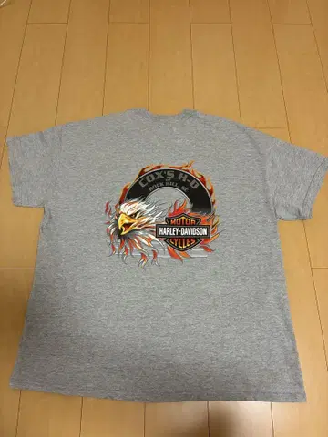 USA제 Harley-Davidson 이글 프레임