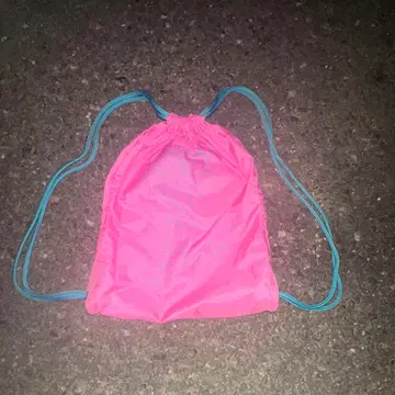 NIKE 00s 90s 냅색 y2k archive 테크 핑크