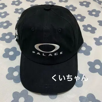 PALACE OAKLEY 6-패널 '블랙 실버'