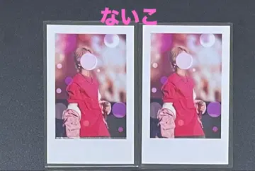 [나이코] 이레이스 실사 폴라로이드풍 트레이딩 카드 라이브 2장